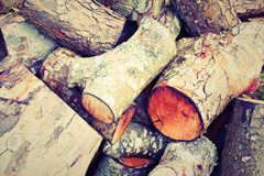 Salmans wood burning boiler costs